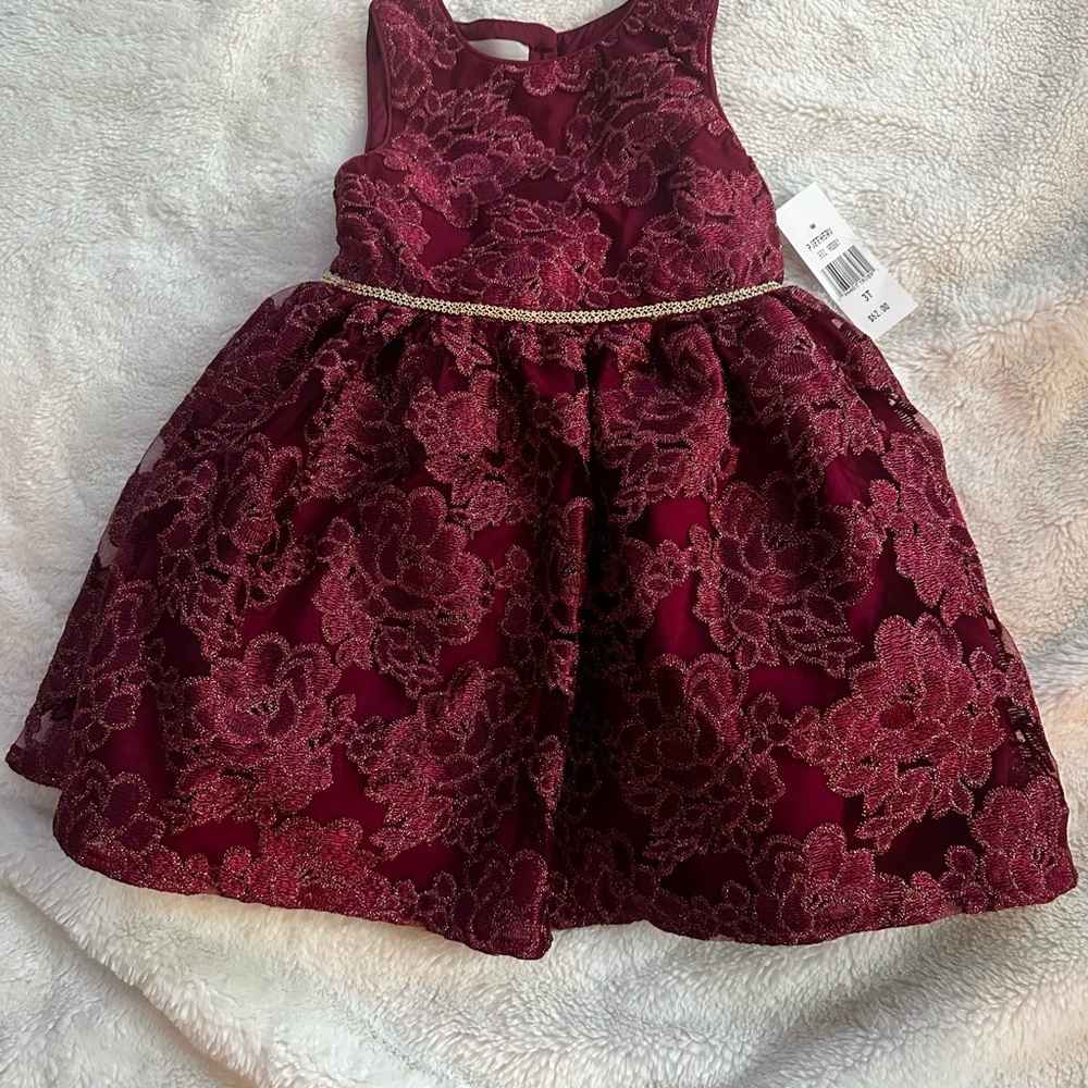 PIPPA & JULIE KIDS Marion Dress NWT $62 (Q-25)
